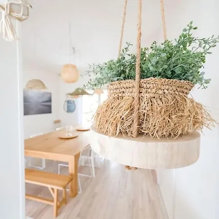 Maison 1ere Ligne Ocean Appartement